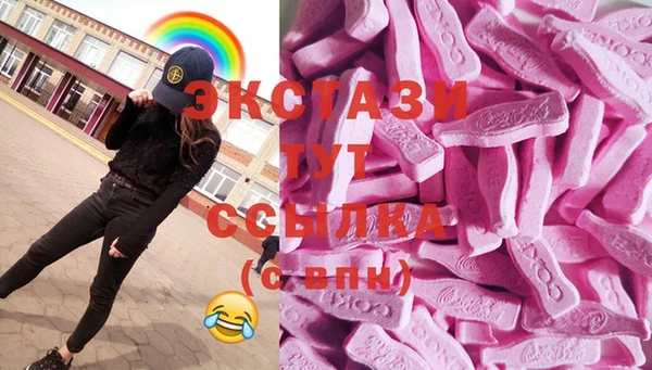 гидра Арсеньев