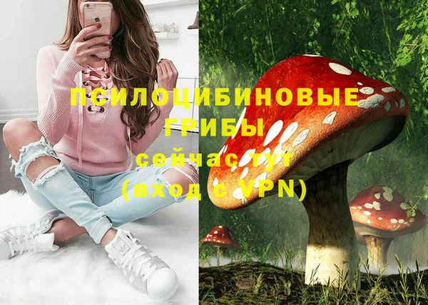 индика Армянск