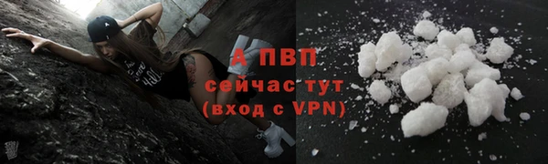 гидра Арсеньев