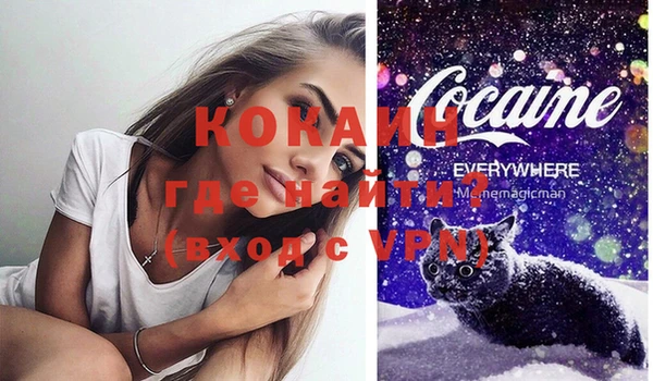 гидра Арсеньев