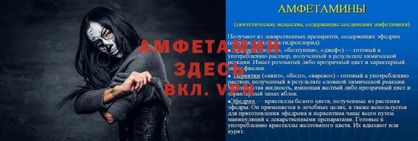 индика Армянск