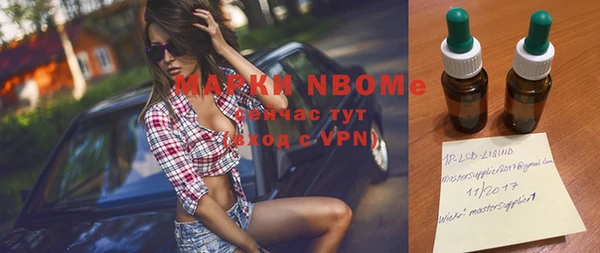 индика Армянск