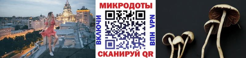 kraken ССЫЛКА  Родники  Галлюциногенные грибы Magic Shrooms 