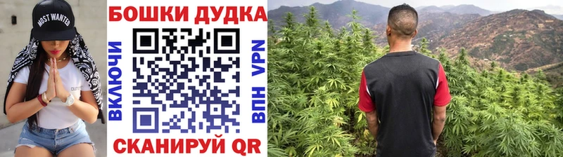 Бошки Шишки семена Родники